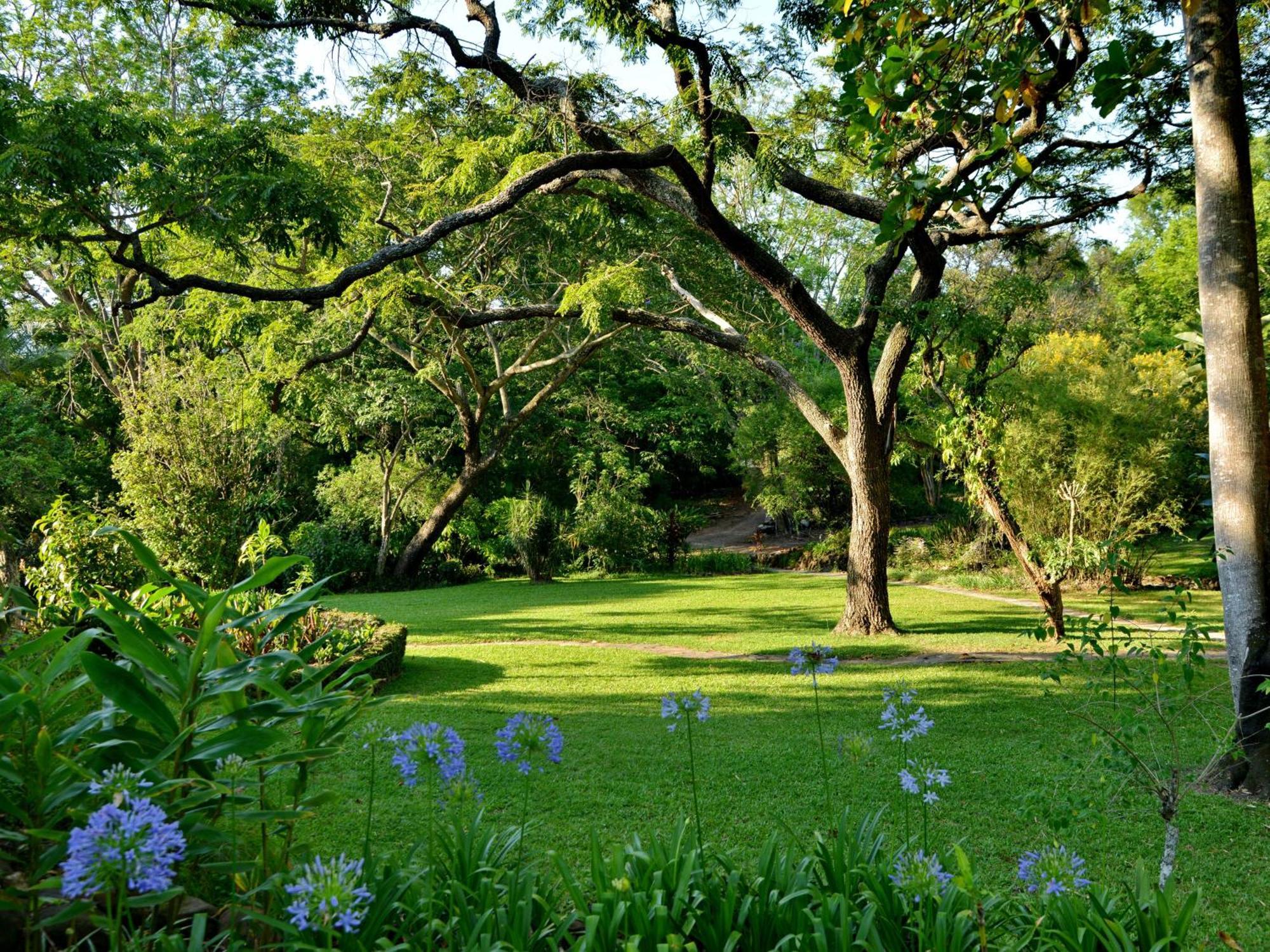 Anew Kruger Park Hazyview