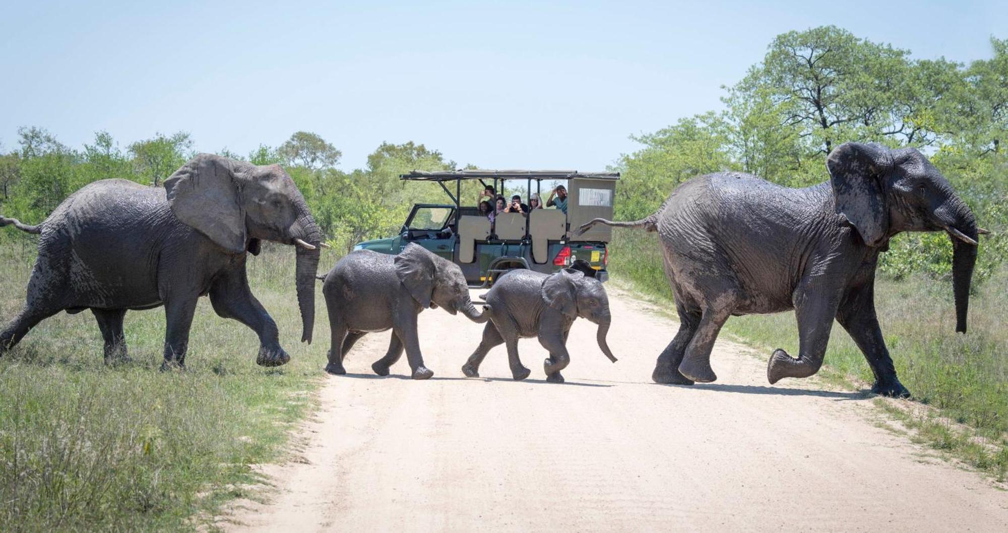 Hotel Anew Kruger Park Hazyview